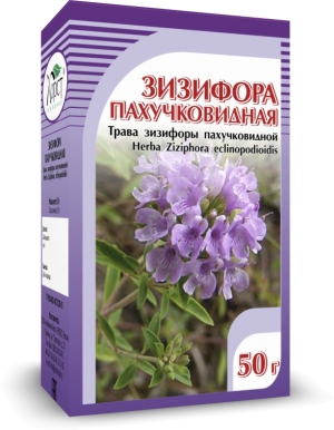 ЗИЗИФОРА пахучковидная
