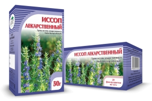 ИССОП лекарственный