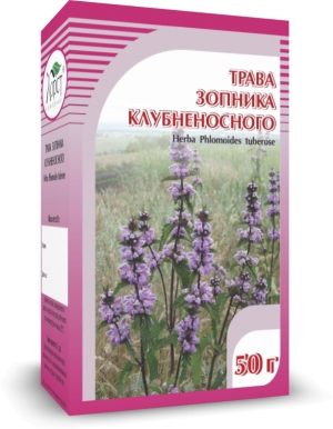 ЗОПНИК клубненосный, трава