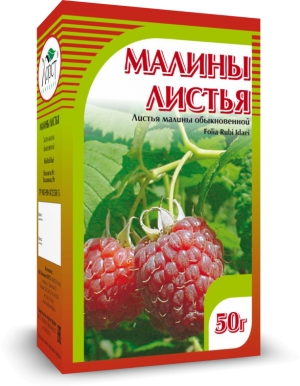 МАЛИНА, листья