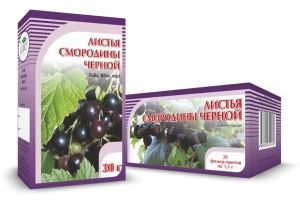 СМОРОДИНА черная, листья