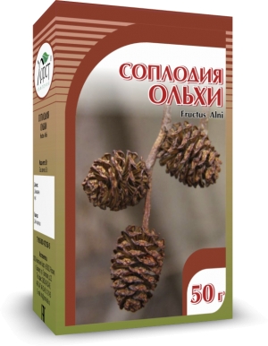 ОЛЬХА, соплодия