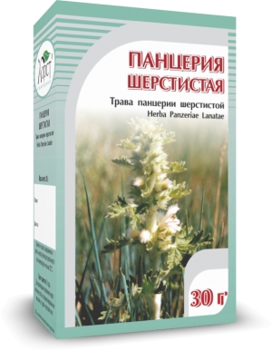 ПАНЦЕРИЯ шерстистая