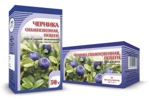 ЧЕРНИКА обыкновенная, побеги