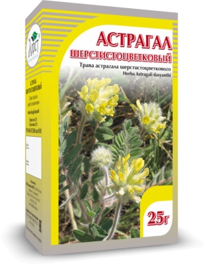 АСТРАГАЛ  шерстистоцветковый