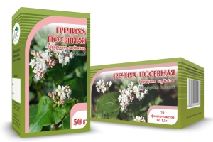 ГРЕЧИХА посевная